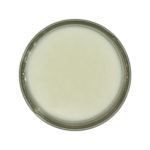 Extract Labs Organic Full Spectrum Muscle Cream