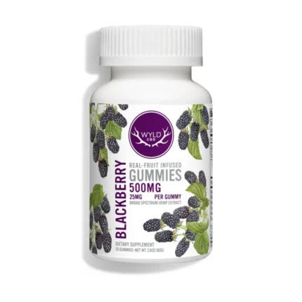 WYLD Blackberry Gummies 20 count